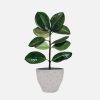 Nerve Plant - 图片 2